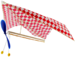 “中天”橡筋动力伞翼机